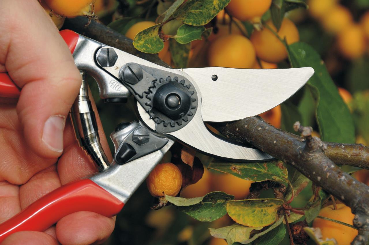 Rebschere Felco 9 für Linkshänder