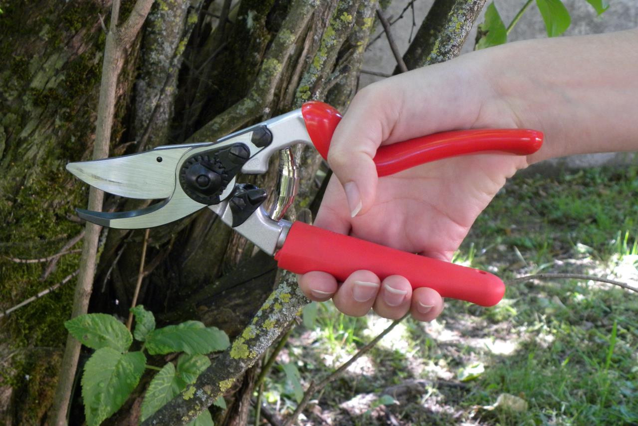 Rebschere Felco 7 mit Rollgriff