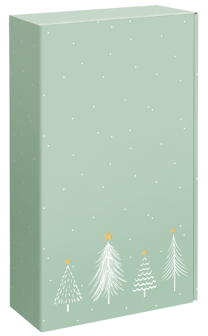 Geschenkkarton Modern Christmas 2 Fl.